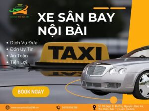 xe san bay 2