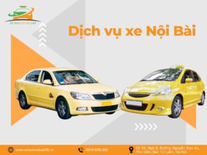 dich vu xe noi bai 2