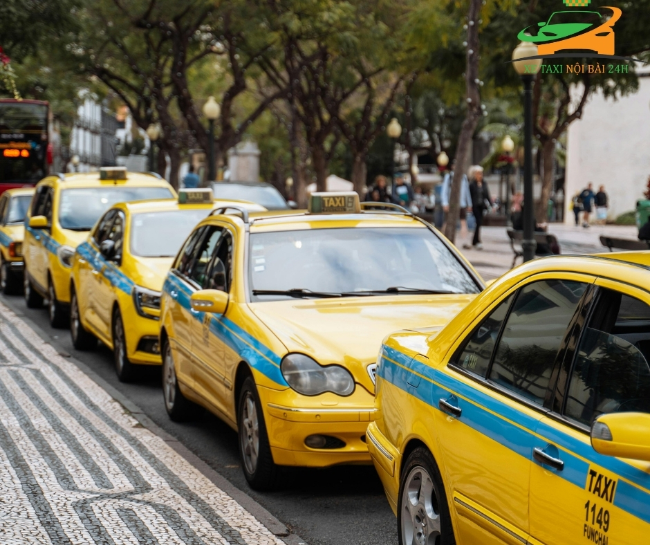 dich vu noi bai hai phong nhanh